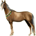 Reitpferd Andalusier Palomino