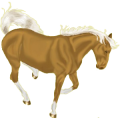 Reitpferd Argentinischer Criollo Fuchs mit heller Mähne