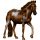 Reitpferd Morgan Dunkelbrauner