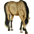 Reitpferd Hannoveraner Fuchs