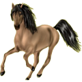 Reitpferd Paint Horse Dunkelfuchs mit Tobiano-Scheckung