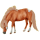 Pony Kerry Bog Rappe