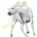 Reitpferd Araber Hellgrau