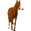 Reitpferd Trakehner Fuchs