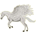 Pegasus-Pony Deutsches Reitpony Hellgrau