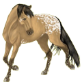 Reitpferd Andalusier Falbe