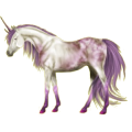 Einhorn-Pony Deutsches Reitpony Fuchs