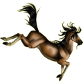 Reitpferd Andalusier Hellgrau
