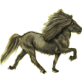 Pony Hellgrau