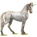 Einhorn-Reitpferd Fuchs