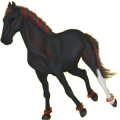 Reitpferd Isländer Falbe