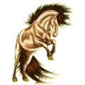 Reitpferd Andalusier Falbe
