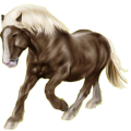 Reitpferd Trakehner Apfelschimmel