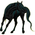 Reitpferd Friese Rappe