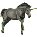 Einhorn-Reitpferd Araber Rotbrauner
