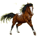 Reitpferd Tennessee Walker Fuchs