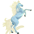 Reitpferd Araber Brauner