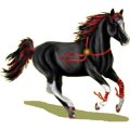 Pegasus-Reitpferd Marwari Dunkelfuchs