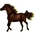 Pony Deutsches Reitpony Fuchs mit heller Mähne