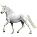 Einhorn-Reitpferd Andalusier Apfelschimmel