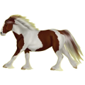 Reitpferd Isländer Fuchs