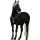 Reitpferd Friese Rappe