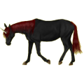 Einhorn-Reitpferd Araber Roan