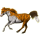 Reitpferd Paint Horse Apfelschimmel mit Tobiano-Scheckung