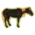 Reitpferd Andalusier Dunkelfuchs