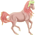 Reitpferd Irisches Sportpferd Rappe