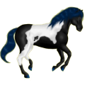 Pony Shetlandpony Fuchs