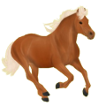 Pony Haflinger Fuchs mit heller Mähne