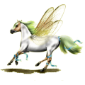 Pegasus-Reitpferd Andalusier Cremello