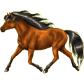 Pony Shetlandpony Fuchs