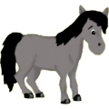 Pony Neufundland Pony Rotbrauner