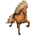 Reitpferd Isländer Roan