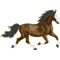 Reitpferd Andalusier Apfelschimmel