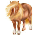 Pony Deutsches Reitpony Fuchs