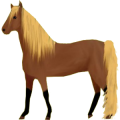 Reitpferd Trakehner Dunkelbrauner