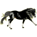 Reitpferd Paint Horse Rotbrauner mit Overo-Scheckung