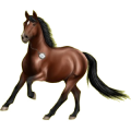 Reitpferd Trakehner Rotbrauner