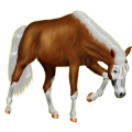 Reitpferd Friese Rappe