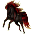 Reitpferd Lusitano Brauner