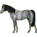 Reitpferd Shagya-Araber Forellenschimmel