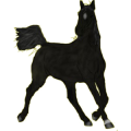 Reitpferd Friese Rappe