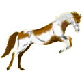 Reitpferd Hannoveraner Apfelschimmel