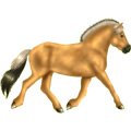 Pony Deutsches Reitpony Fuchs
