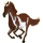 Reitpferd Lusitano Brauner