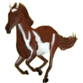 Reitpferd Argentinischer Criollo Roan