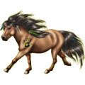 Pony Norweger Braunfalben